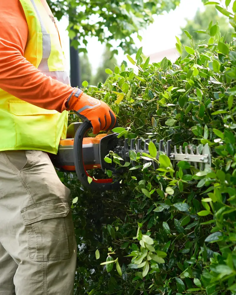 Corta sebes a Bateria HUSQVARNA 522iHD60 - Image 5